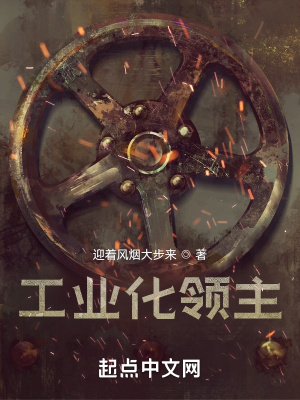 工业化领主工业化领主